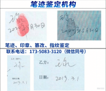  一个是模迹代写者
