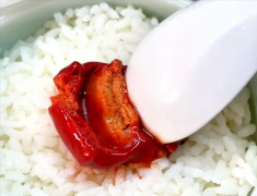 B12次要存正在于动物性食物中